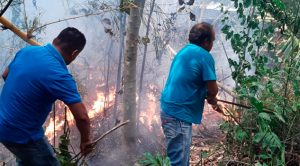 Por lograr recursos del programa Sembrando Vida, queman pastizales en Cazones Por lograr recursos del programa Sembrando Vida, queman pastizales en Cazones