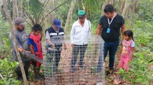 Proyectan UMA en el municipio