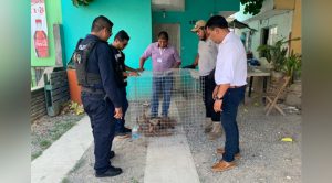 Proyectan UMA en el municipio