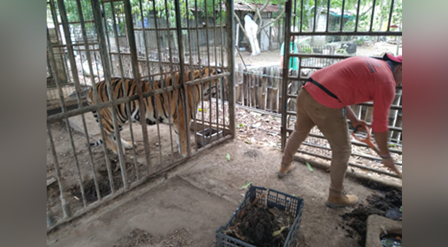 Pérdida de biodiversidad, cada vez más preocupante, advierten ecologistas en Tuxpan