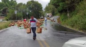 Rapiña de cerveza en la carretera México-Tuxpan