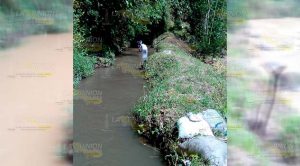 Realizan trabajos de mantenimiento en zonas de captación de agua en Tlapacoyan Realizan trabajos de mantenimiento en zonas de captación de agua en Tlapacoyan