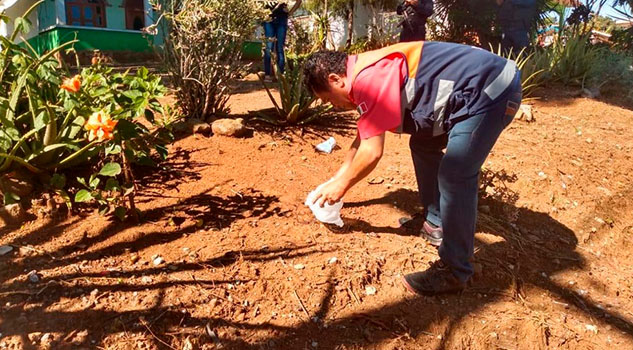 Reportan envenenamiento masivo de perros y gatos en Comapa, Veracruz Reportan envenenamiento masivo de perros y gatos en Comapa, Veracruz