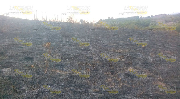 Va denuncia por incendio de pasto para ganado en Cazones de Herrera Va denuncia por incendio de pasto para ganado en Cazones de Herrera