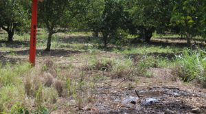 Vecinos temen por explosión en Tihuatlán