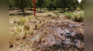 Vecinos temen por explosión en Tihuatlán