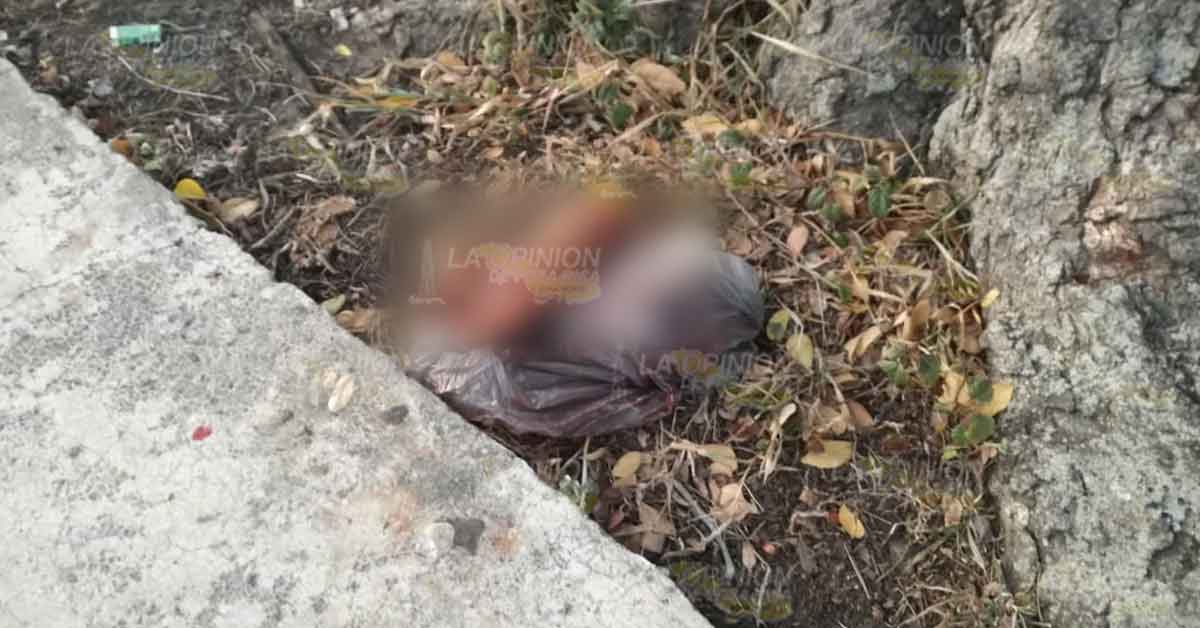 Hallan manos cercenadas en Tuxpan
