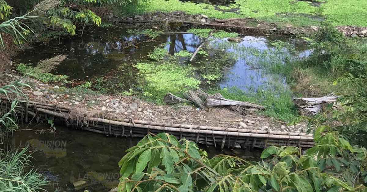 Escases de agua afecta la fauna en Tihuatlán