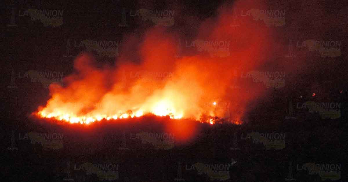 Infierno en los limonares de Martínez de la Torre