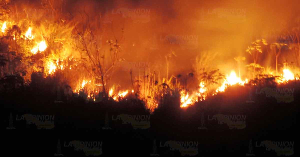 Infierno en los limonares de Martínez de la Torre