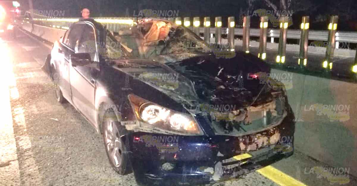 Vivos de puro milagro tras embestir un caballo en la autopista México-Tuxpan