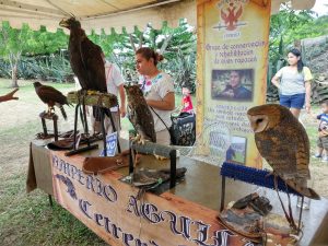 Águila Real, emblema nacional, en riesgo de desaparecer, advierte biólogo en Tuxpan Águila Real, emblema nacional, en riesgo de desaparecer, advierte biólogo en Tuxpan