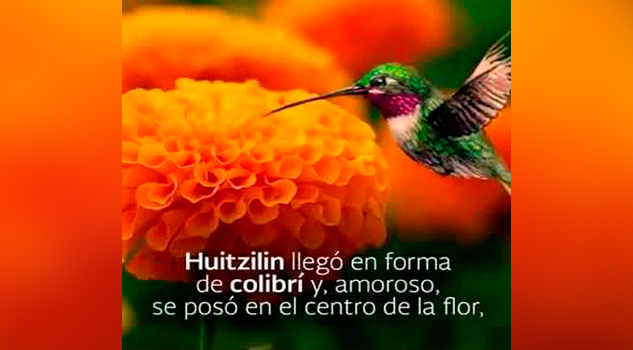 La leyenda de la flor de Zempaxóchitl o Cempasúchil