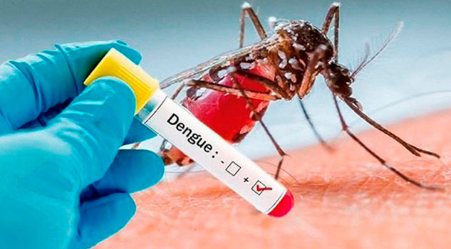 15 muertes por dengue en Veracruz; Primer lugar nacional 15 muertes por dengue en Veracruz; Primer lugar nacional