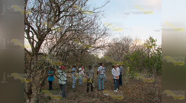 Luz de esperanza para productores alamenses