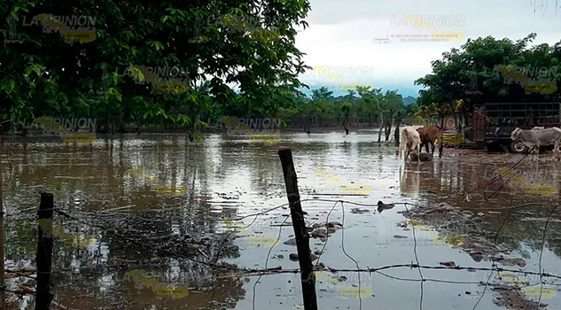 Lluvias inunda comunidad la Guadalupe, Espinal
