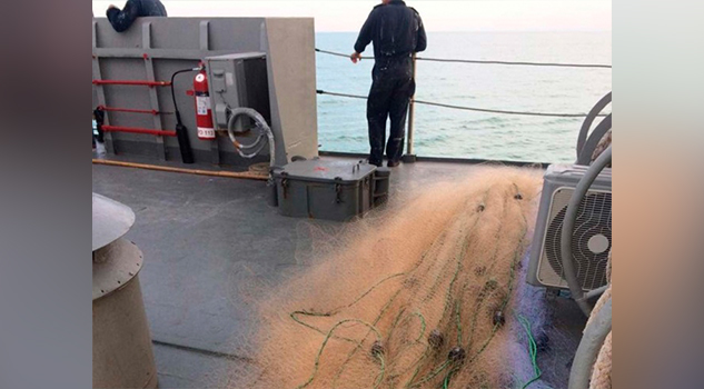 Retiran 9 redes de pesca fantasma en refugio de vaquita marina