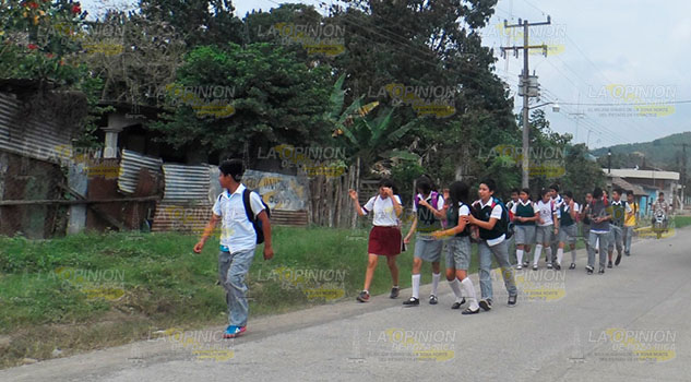 Activan alerta por dengue en escuelas de la región Tuxpan Activan alerta por dengue en escuelas de la región Tuxpan