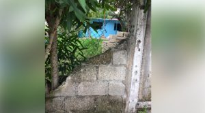 Barda a punto de caer