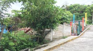 Barda a punto de caer