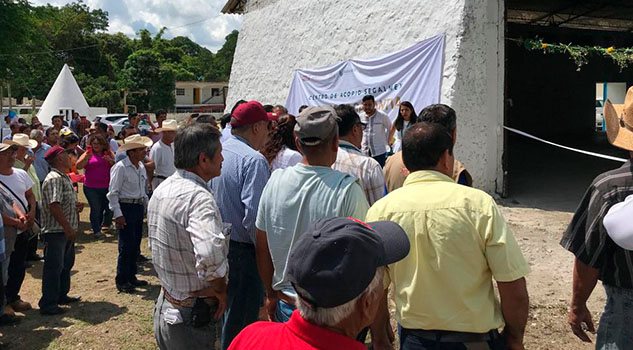 Captarán 100 mil toneladas de granos con SEGALMEX en Tihualtán Captarán 100 mil toneladas de granos con SEGALMEX en Tihualtán