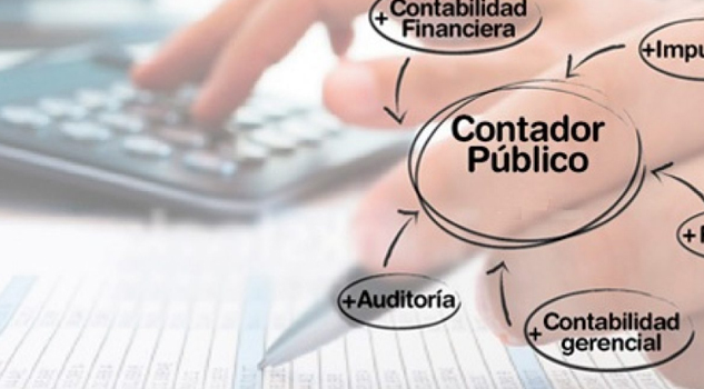 Contadores se dedicaban a ver cómo evadir impuestos