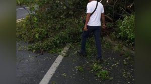 Daños por lluvias en Papantla