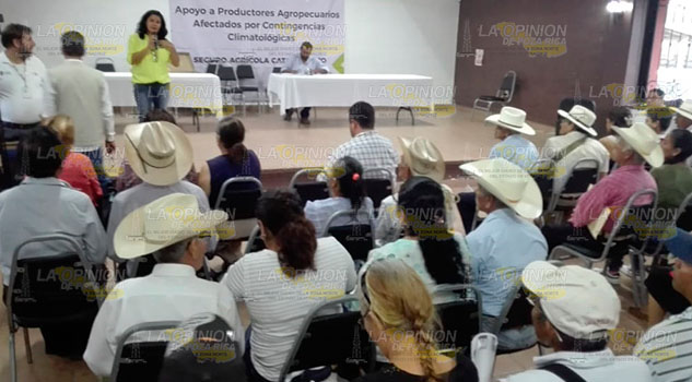 Fluyen recursos del Seguro Agrícola Catastrófico en Tuxpan Fluyen recursos del Seguro Agrícola Catastrófico en Tuxpan