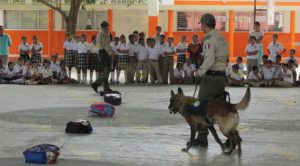 Fomentan la prevención del delito