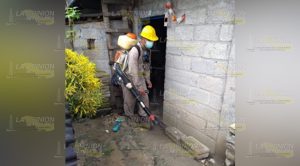 Fumigan comunidad Francisco Villa de Filomeno, Mata