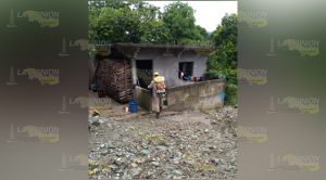 Fumigan comunidad Francisco Villa de Filomeno, Mata