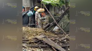 Fumigan comunidad Francisco Villa de Filomeno, Mata