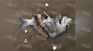 Mortandad de peces en Playa Azul de Cazones