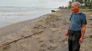 Mortandad de peces en Playa Azul de Cazones de Herrera