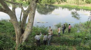 Mortandad de peces en el río