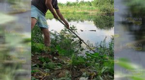 Mortandad de peces en el río Pantepec alarma a la comunidad La Tortuga Mortandad de peces en el río Pantepec alarma a la comunidad La Tortuga
