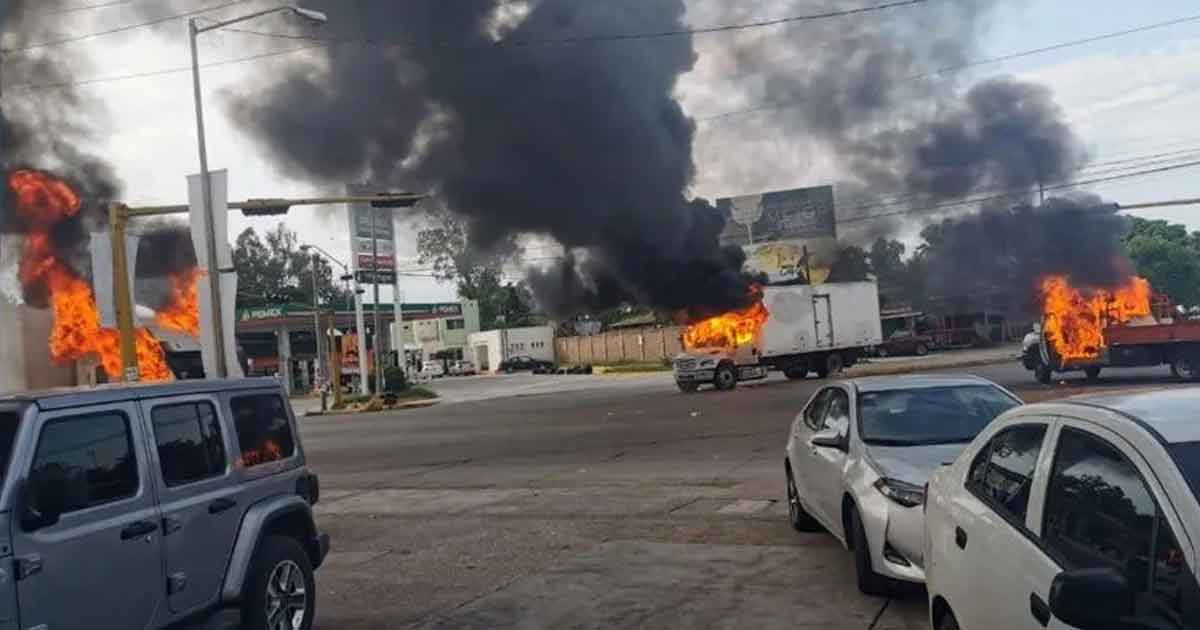 49% en contra de liberación de Ovidio Guzmán; 45% a favor: Encuesta de Reforma