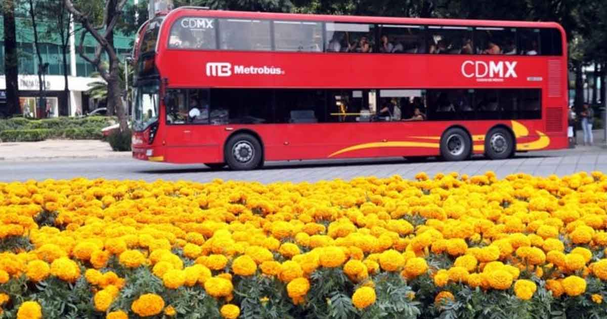 Decoran vialidades de la CDMX con cempasúchil
