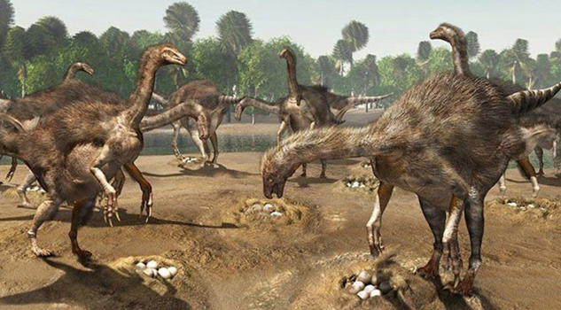 Nidos de dinosaurios son encontrados en Mongolia
