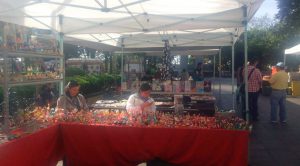 Realizan evento a beneficio de enfermos con cáncer en Xalapa Realizan evento a beneficio de enfermos con cáncer en Xalapa