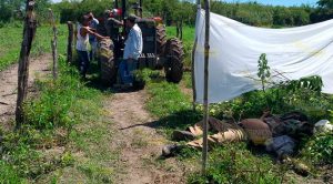 Trágica muerte encontró una persona de la tercera edad al caer de caballo Trágica muerte encontró una persona de la tercera edad al caer del caballo