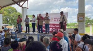 Van otras 50 mil hectáreas para siembra de árboles en la Huasteca