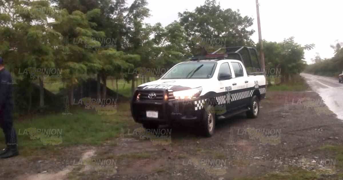 Más de 250 mil pesos le robaron en ganado a mujer del Km 25, en Cazones