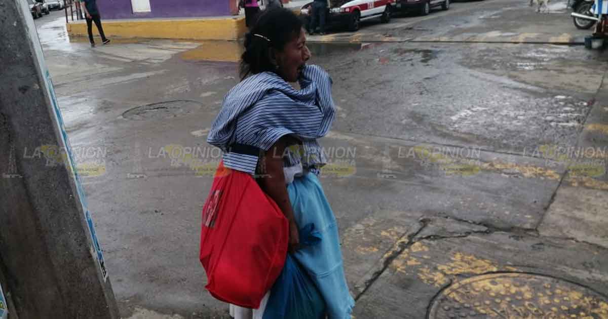 Llaman a preservar el totonaco