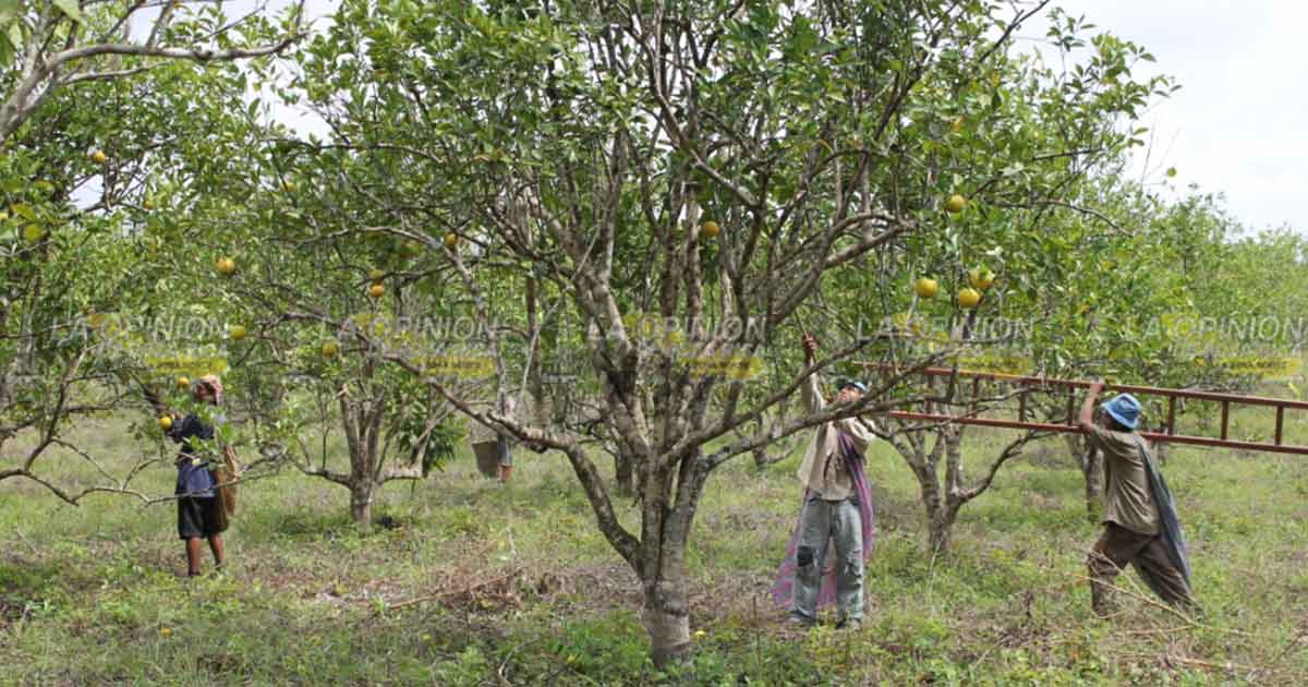 No al pago por uso del agua