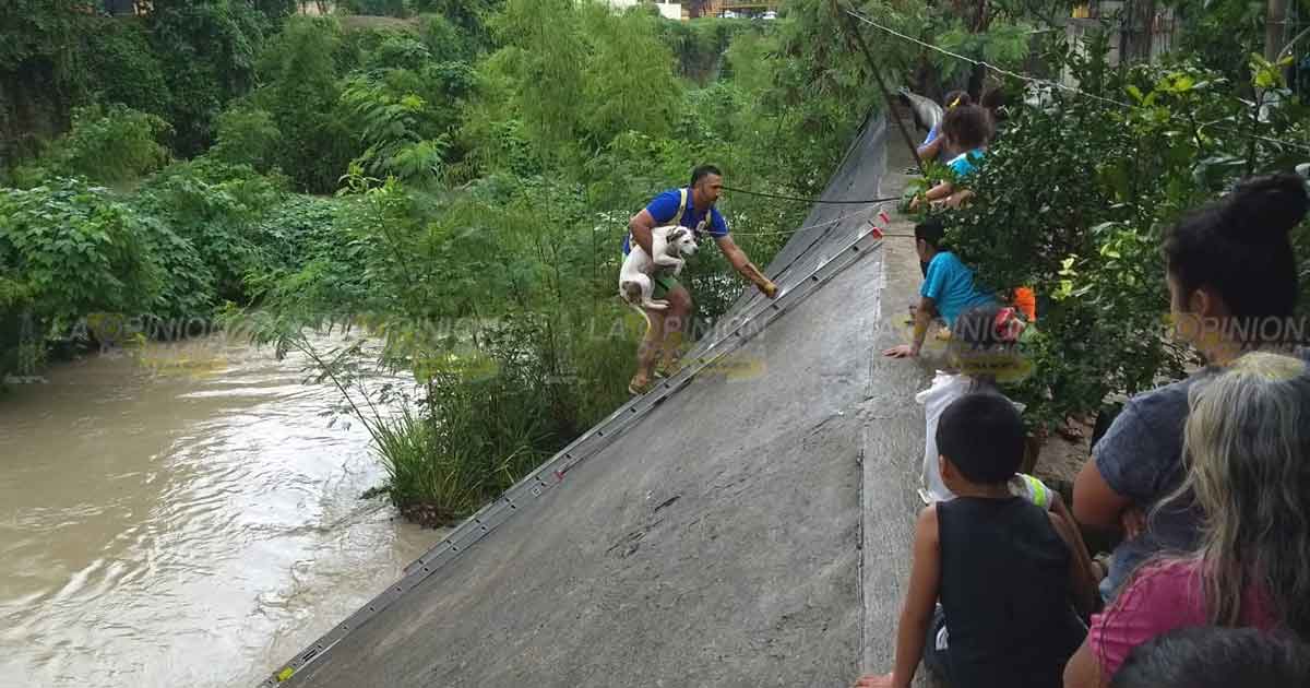 Rescatan bomberos a perro