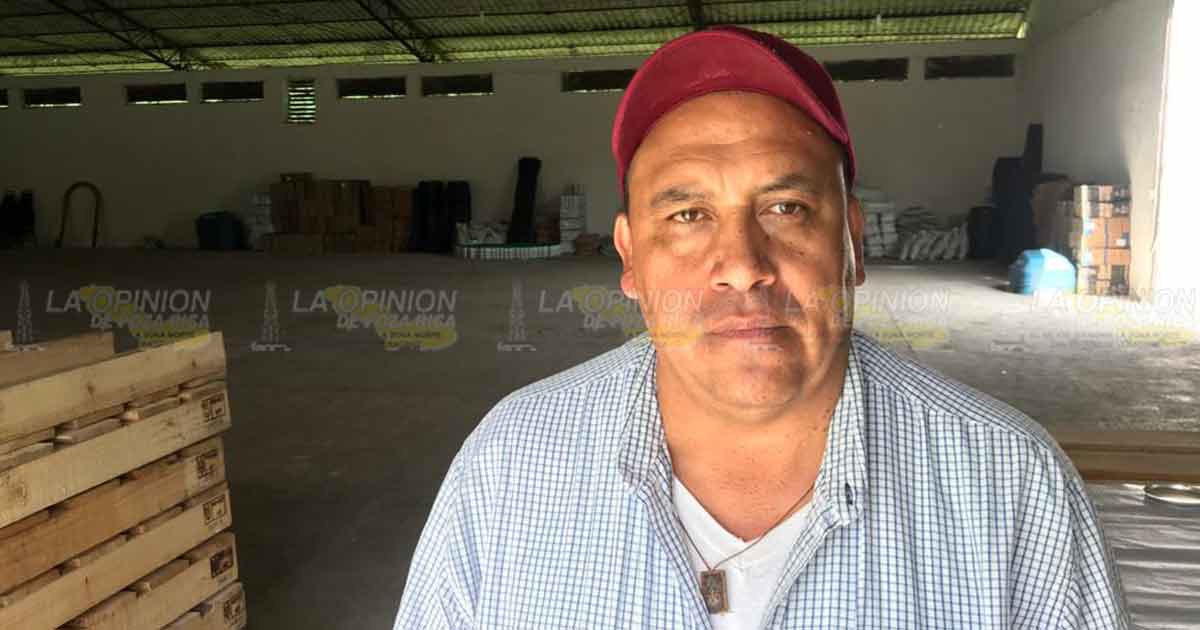 Poca respuesta a programa de captación de maíz y frijol