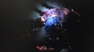 Despedazado en la carretera federal Tuxpan-Tampico