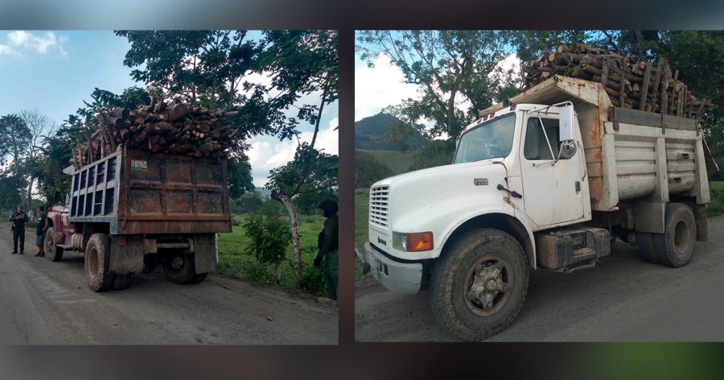 Recuperan dos camiones con madera y tres vehículos; hay dos detenidos de Papantla