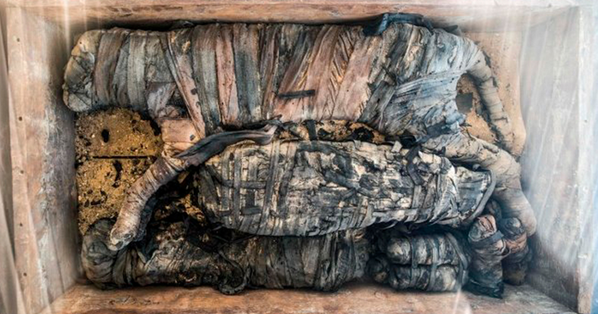 Hallan momias de animales en Egipto